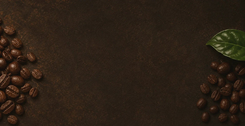 Port of Mocha history