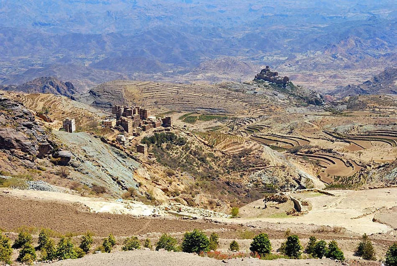 Yemen's terraced mountains where coffee began