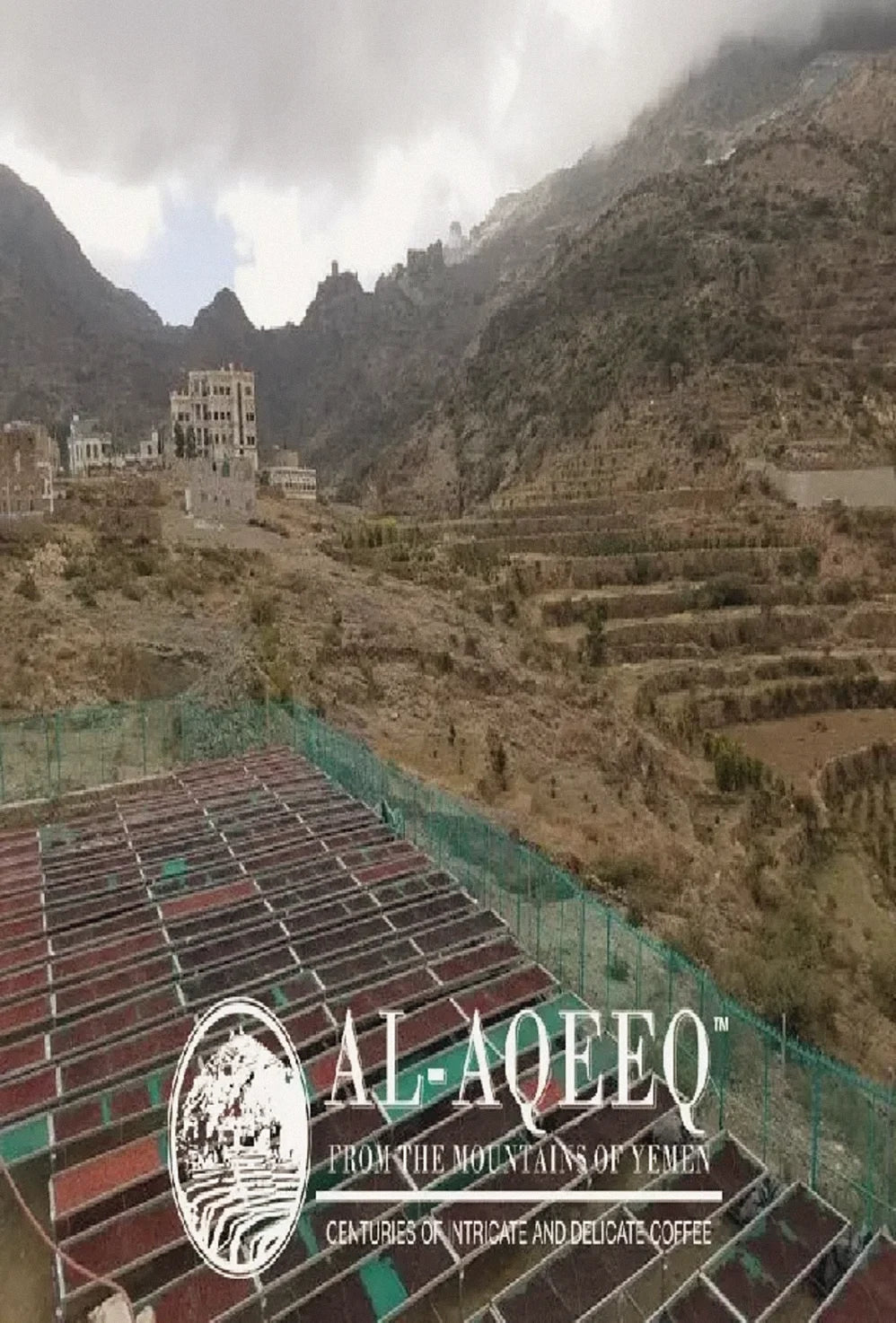 Coffee terraces in the mountains of Yemen
